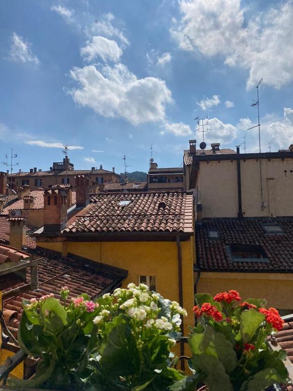 La perla del centro tetti